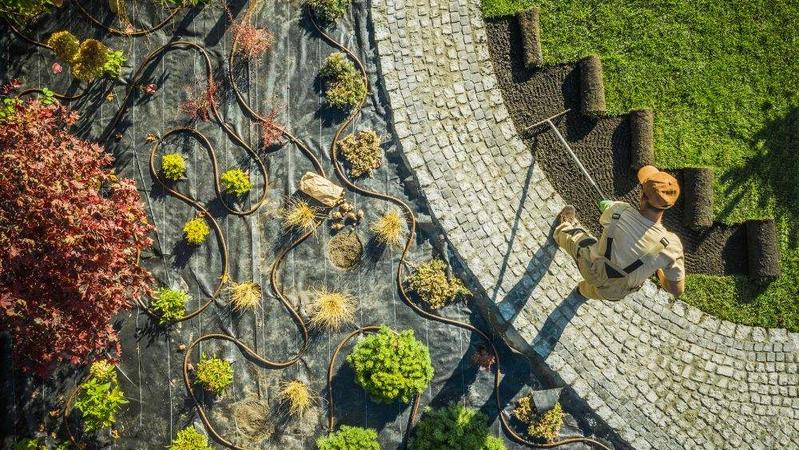 3 Landscaping Projects You Should Leave to the Professionals