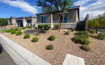 Desert Landscaping Services in Las Vegas
