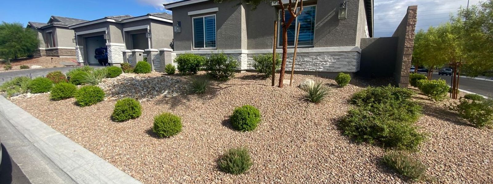 Desert Landscaping Services in Las Vegas