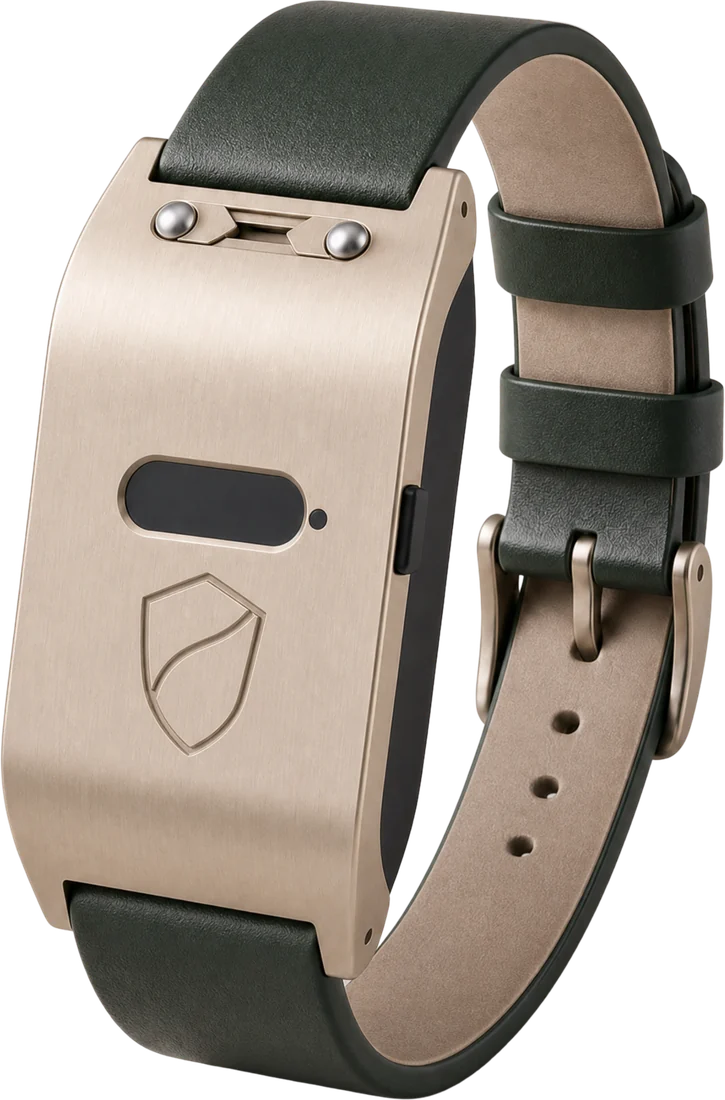 Brava Arc in Champagne & Forest Green
