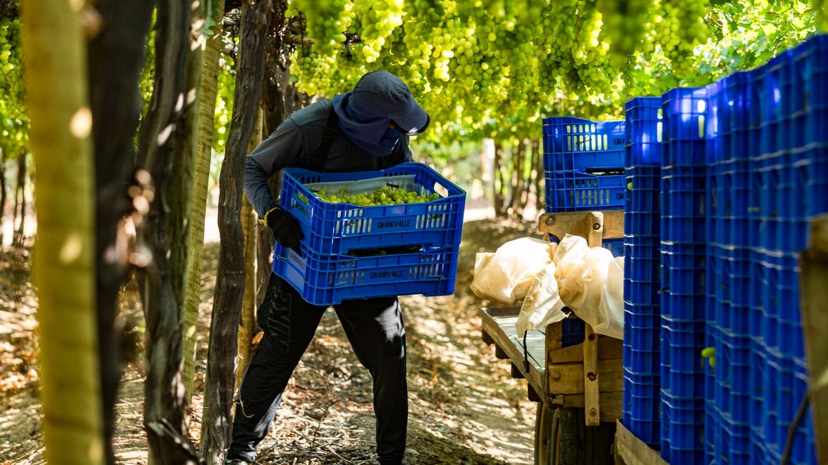 Fruit Attraction Madrid: FTrade consolida atuação na expo de frutas