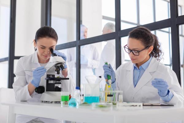 Medium shot of scientists working together in the lab