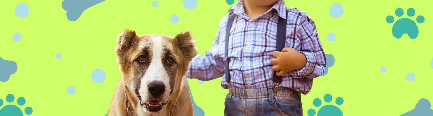 ¿Cómo fue cuidar a mi primera mascota?
