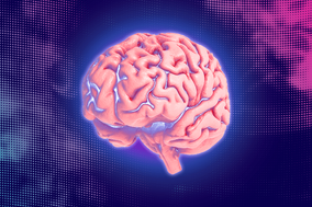 Esto es lo que le pasa a tu cerebro cuando lees (y es increíble)