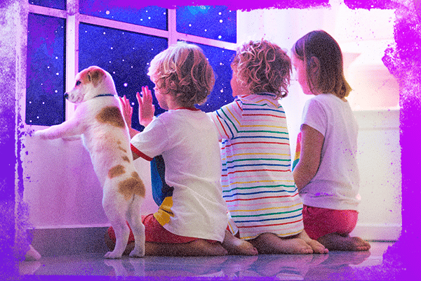 ¿Tus hijos quieren una mascota? Conoce qué es lo que fomentará en ellos
