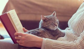 Este libro te ayudará a cuidar y mantener feliz a tu gato