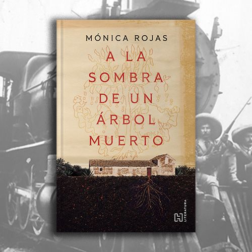 Portada del libro A la sombra de un árbil muerto de Mónica Rojas.