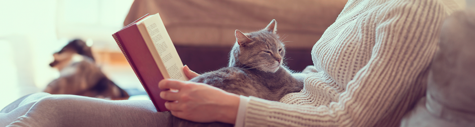 Este libro te ayudará a cuidar y mantener feliz a tu gato