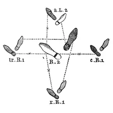 Reignite customer interest
