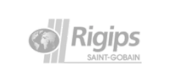 rigips