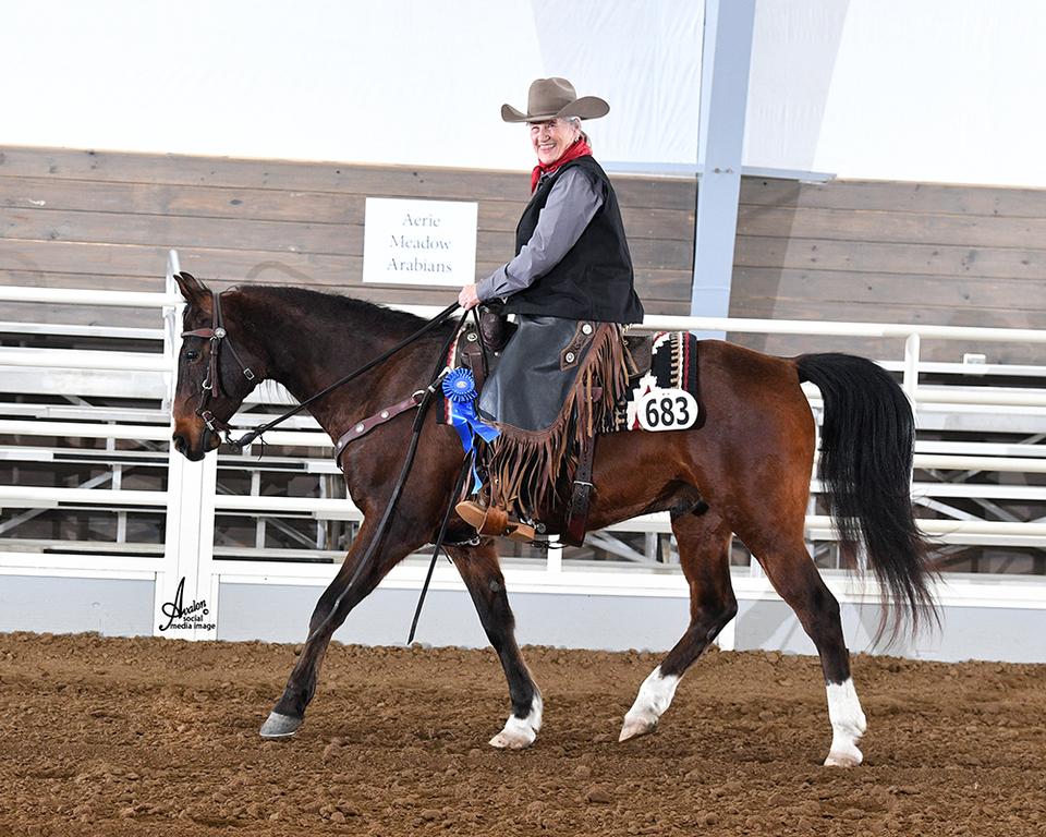 Arabian Open Shows
