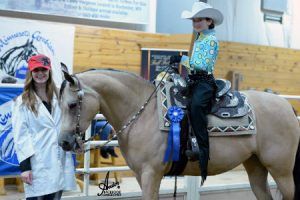 Arabian Open Shows