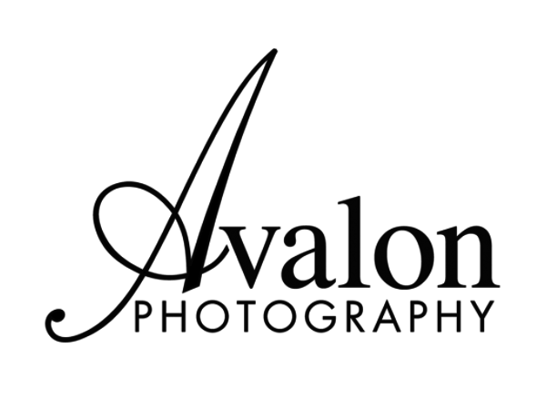 Avalon Arabians