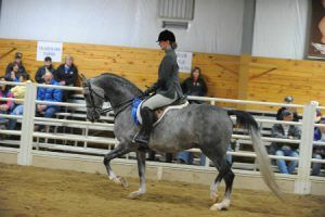 Fall Classic Show