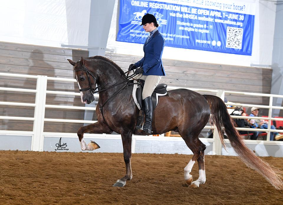 Fall Classic Show