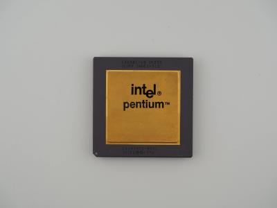 Intel Pentium 60 (FDIV Bug)