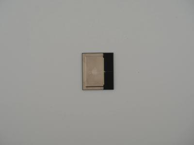 Apple M1 (APL1102)