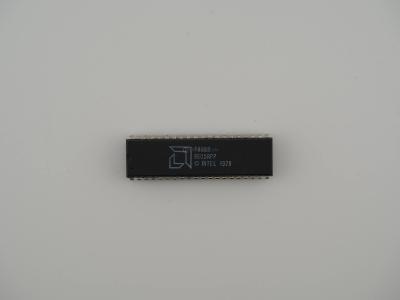 AMD P8088