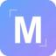 icon of Meta Image