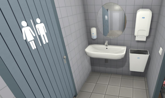 Sanitary Cleaning