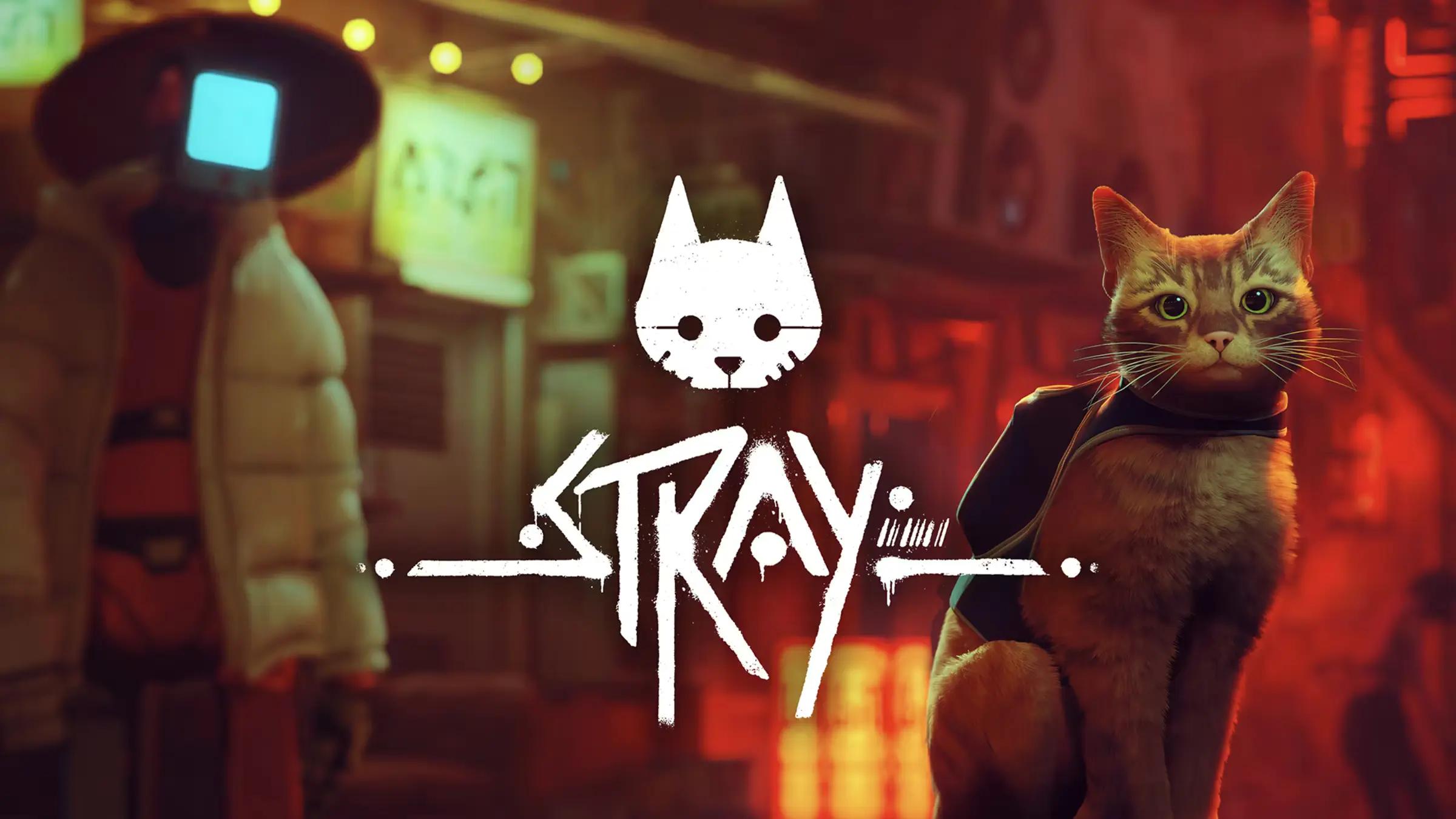 Kočičí hit Stray dorazil na Nintendo Switch 2 ve vylepšené grafice