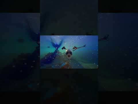 Největší survival hit roku?! Subnautica 2 překonává rekordy 🔥