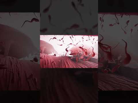 Become: A Sperm’s Journey survivor za spermii? Či čistě edukační hra?