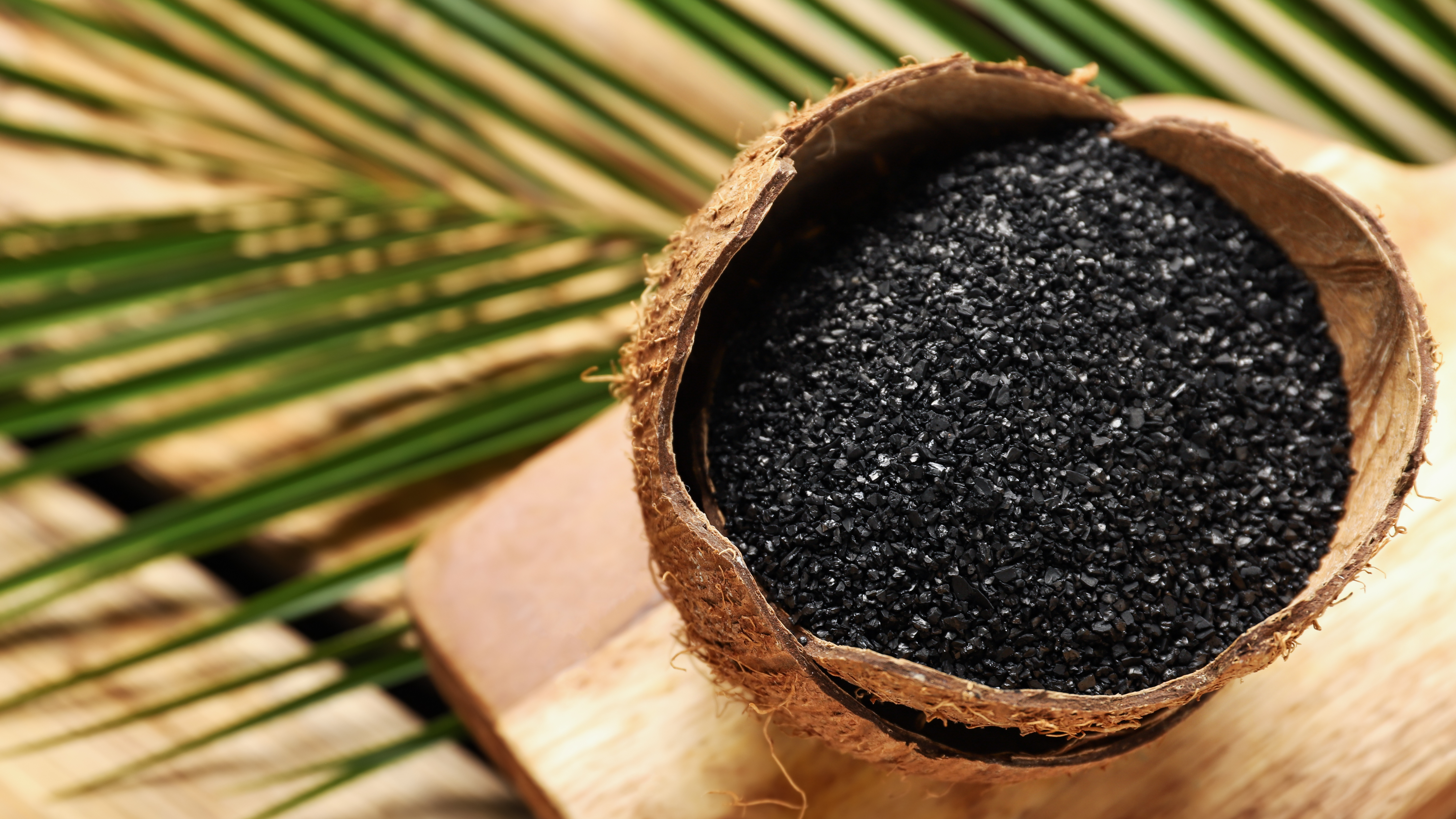 Granular Activated Carbon