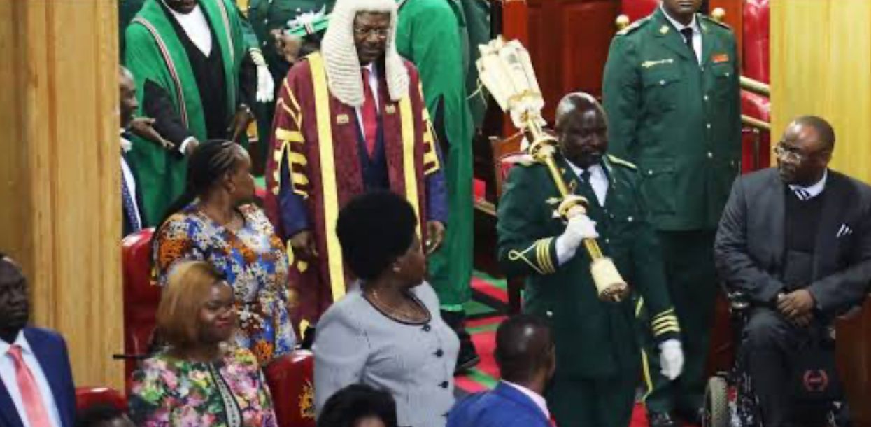 National Assembly Scraps Excise Tax on Imported Transformers and Other Goods