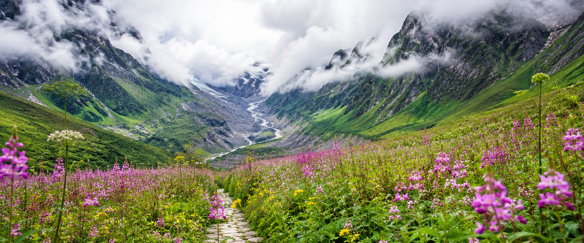 Valley of Flowers