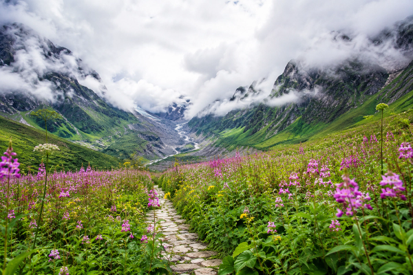 Valley of Flowers