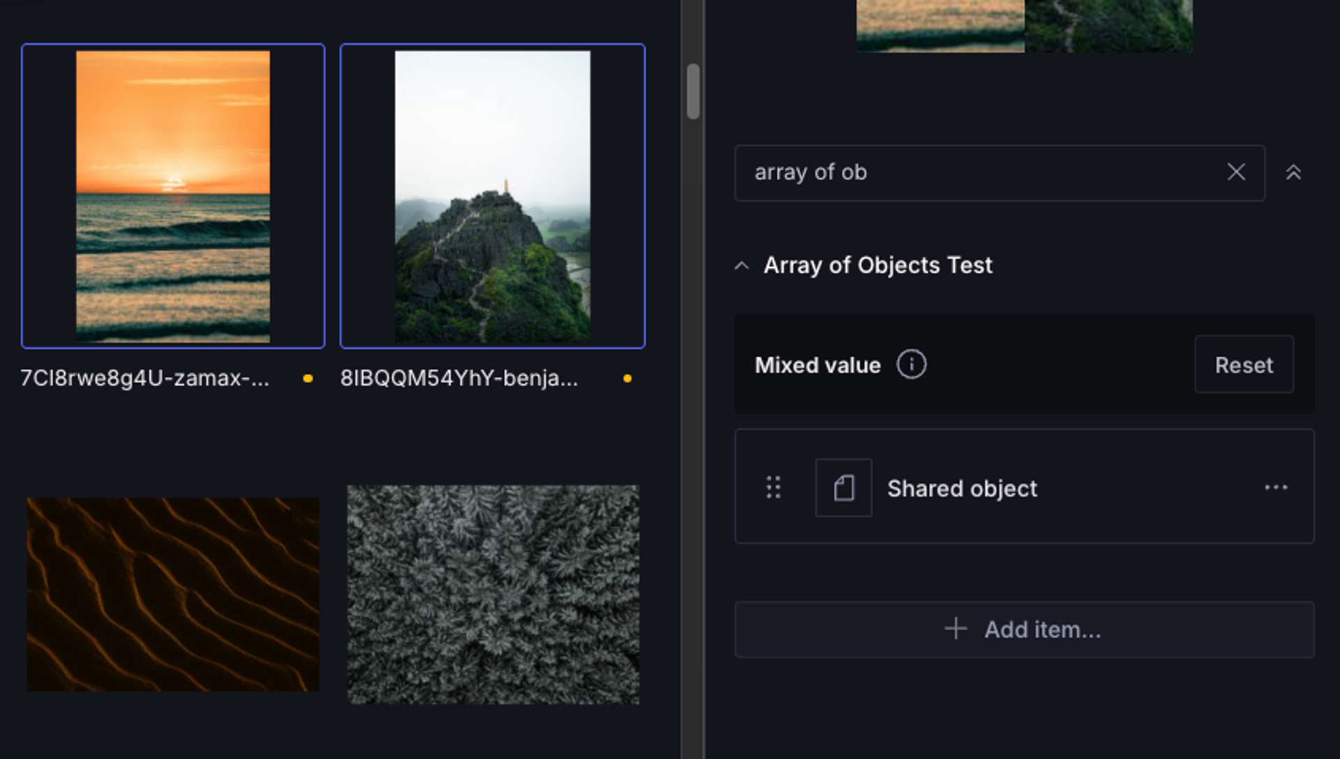 User interface displaying four nature photo thumbnails (sunset, mountain, sand dunes, forest) and a configuration panel for an "Array of Objects Test."