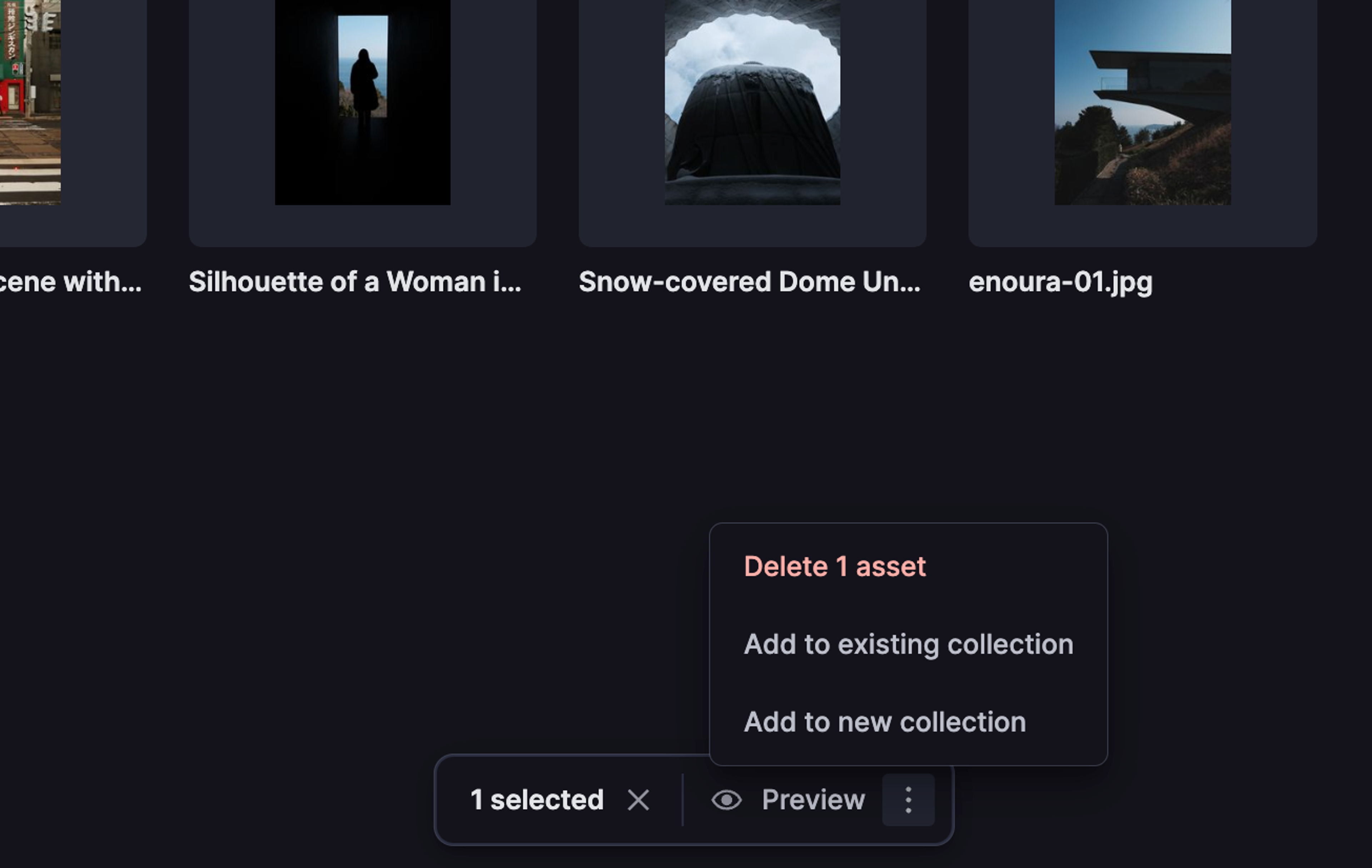 a screenshot of the popover that says delete 1 asset