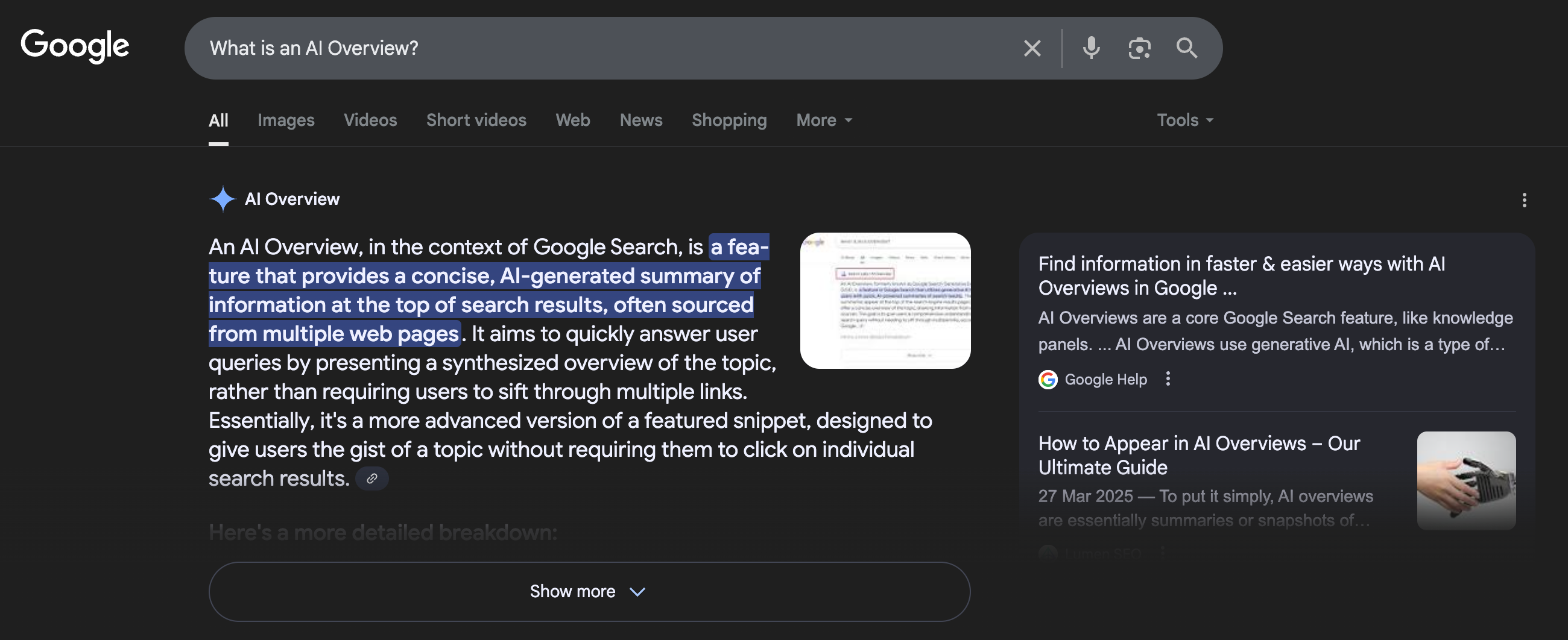 Example AI Overview that informs us what AI Overviews are.