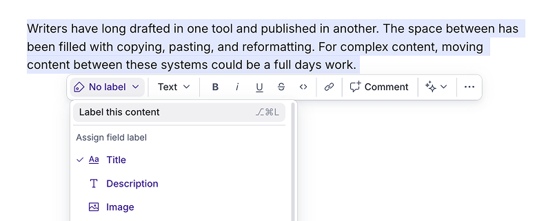 Canvas text editor showing selected text and a dropdown menu open to label content as Title, Description, or Image.