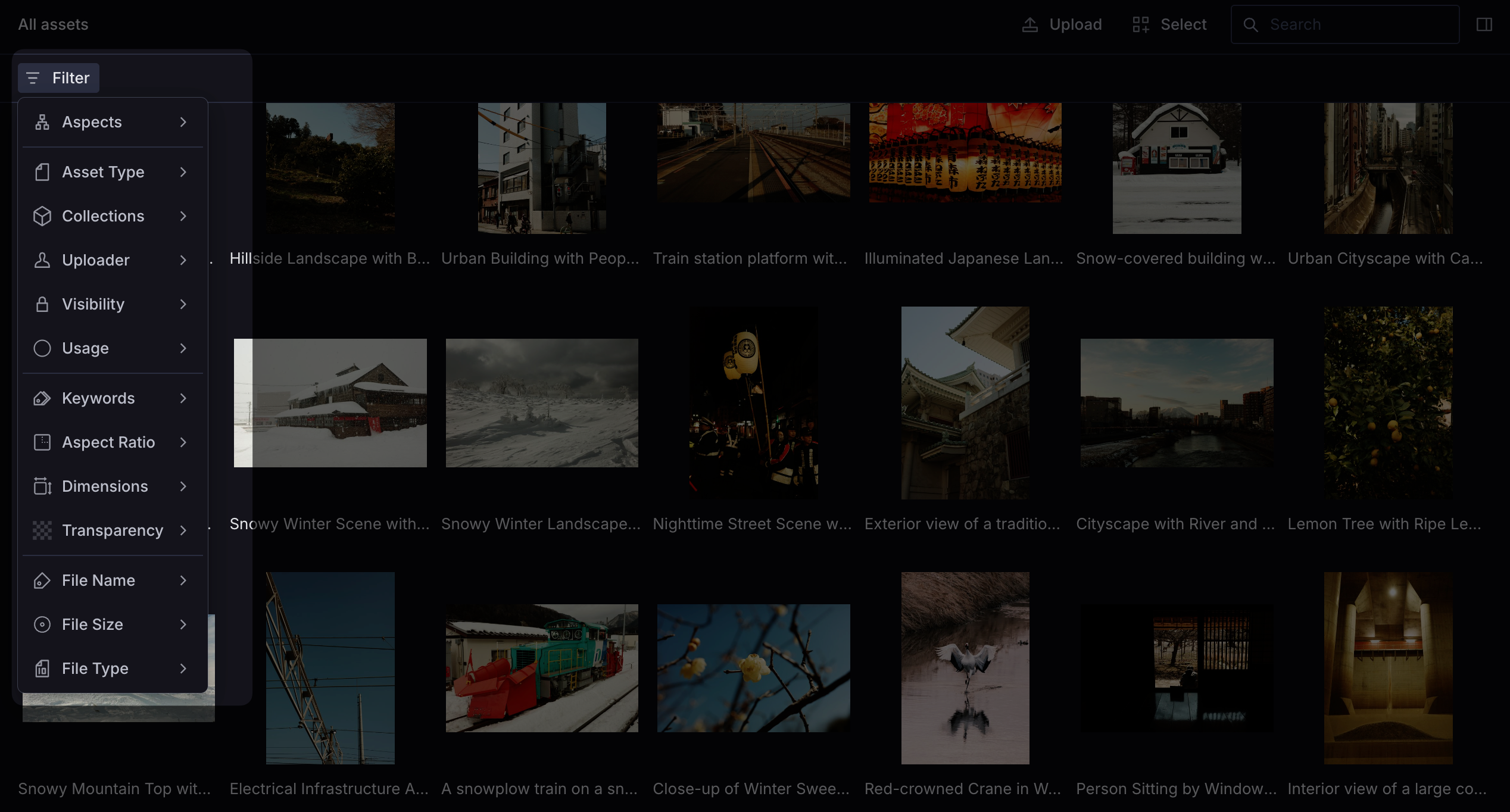 A screenshot of the media library highlighting the filter interface