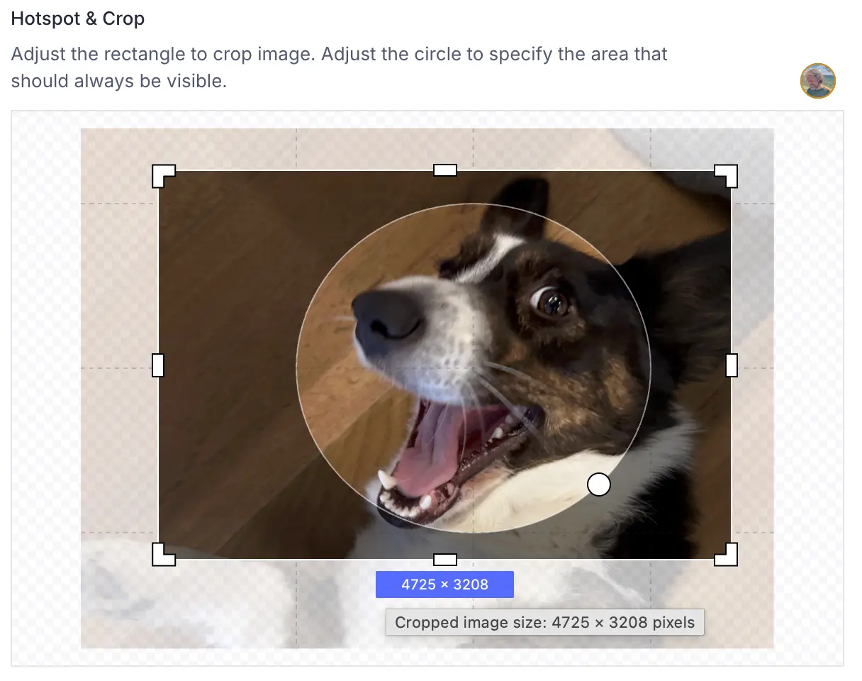 Image cropping interface displaying a dog photo, showing a rectangular crop boundary and a circular hotspot.
