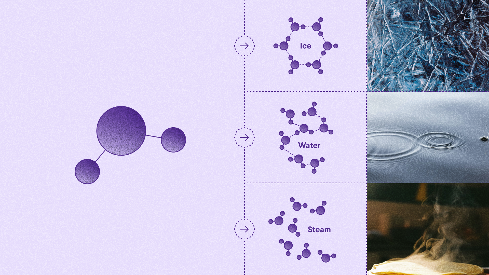 A water molecule represented as two hydrogen and one oxygen atoms ; water molecules expressed as solid (ice), liquid (water), and gas (steam).