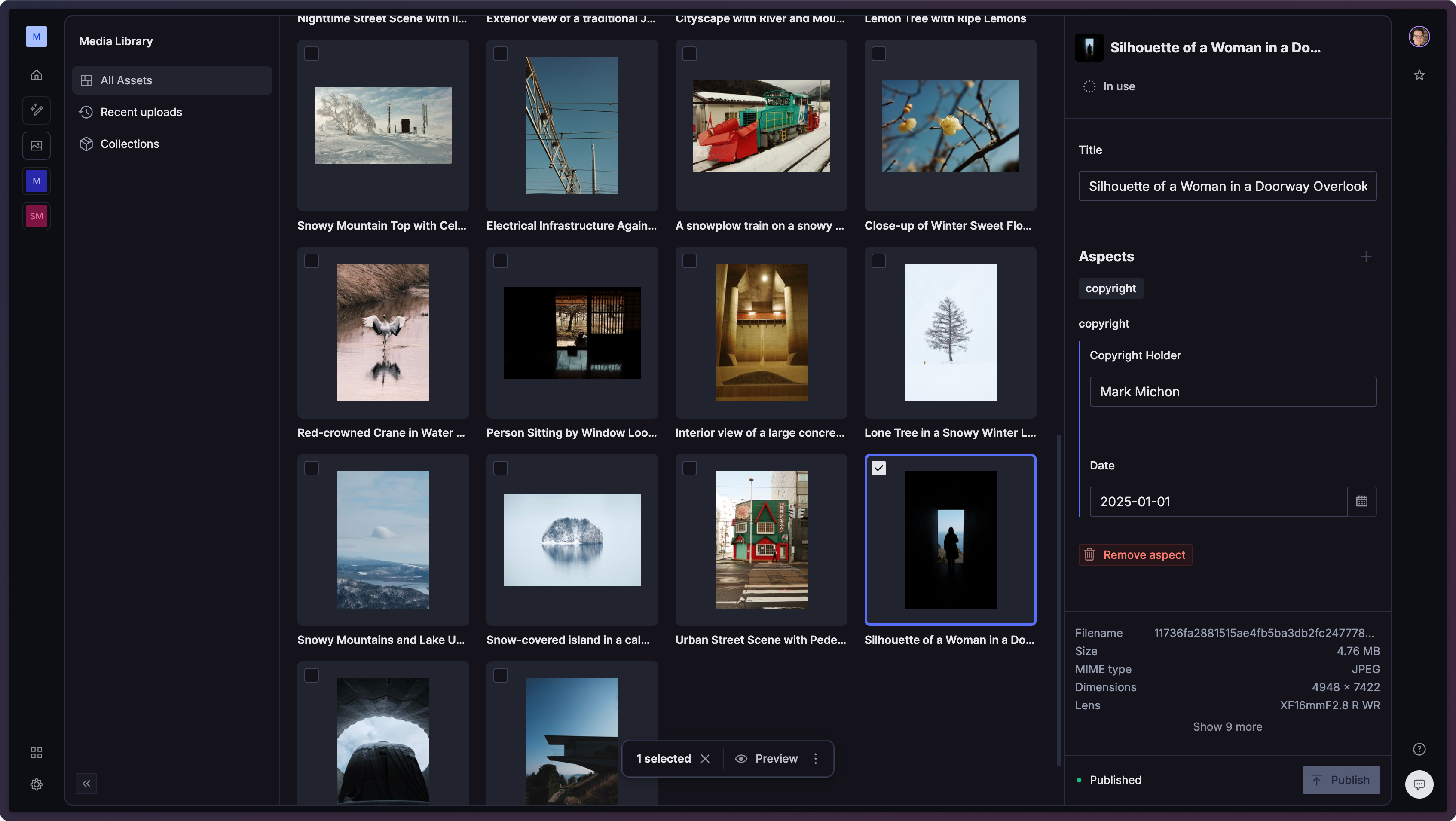 a screenshot of a media library with an asset detail panel open