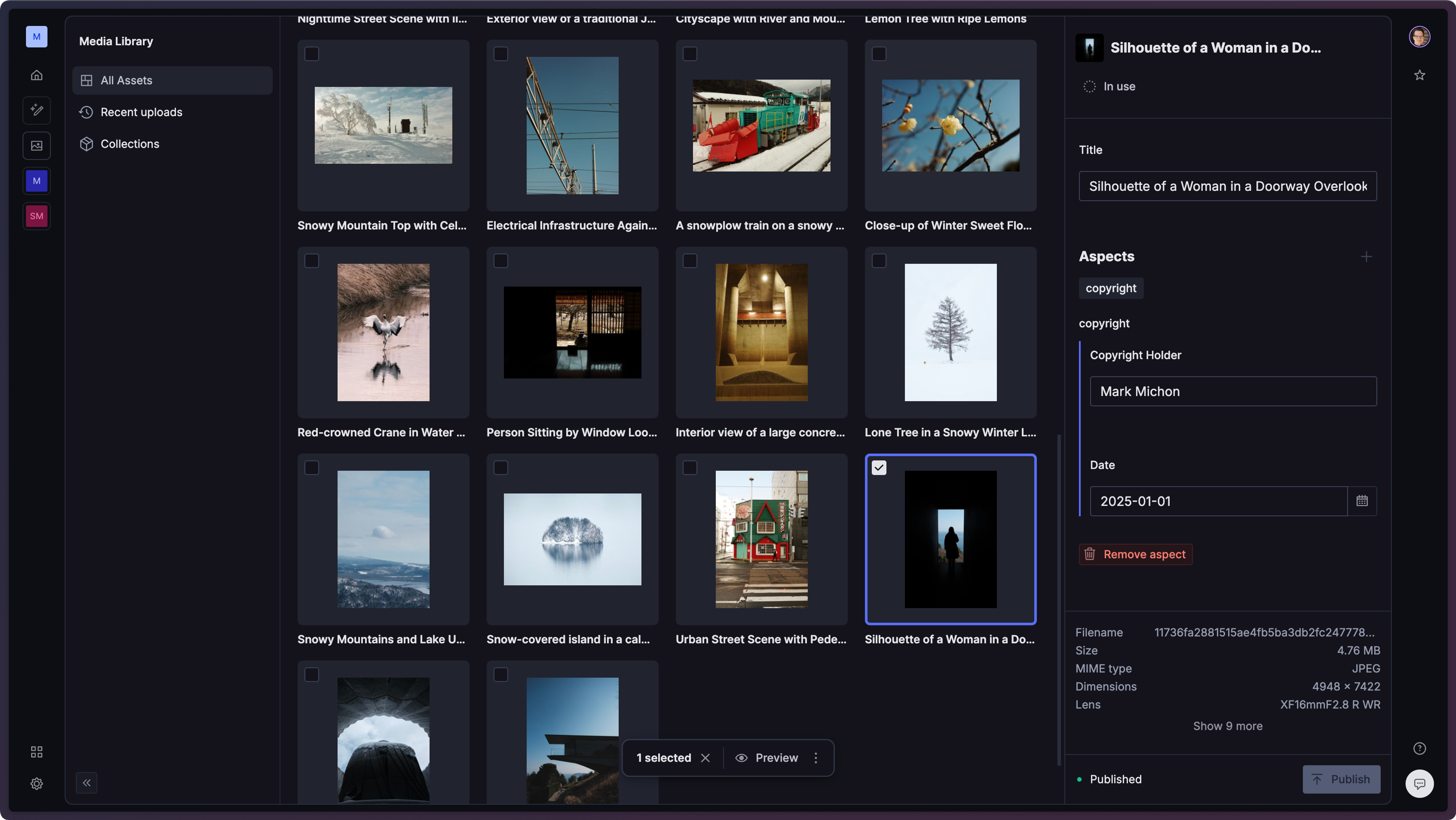 a screenshot of a media library with an asset detail panel open