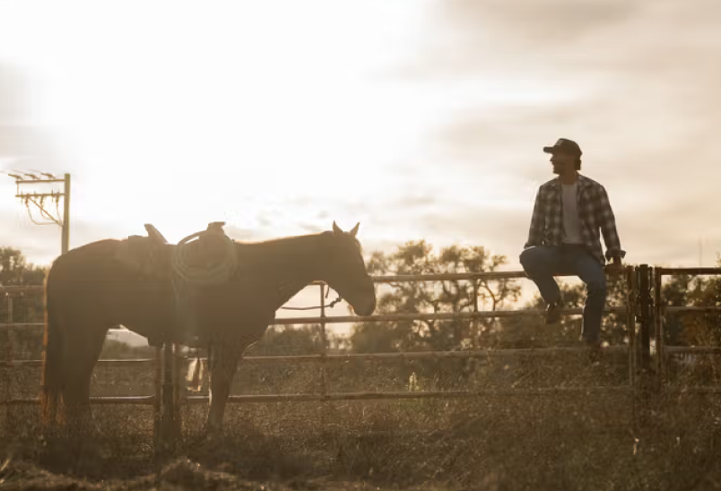 a man sits on a fence next to a horse