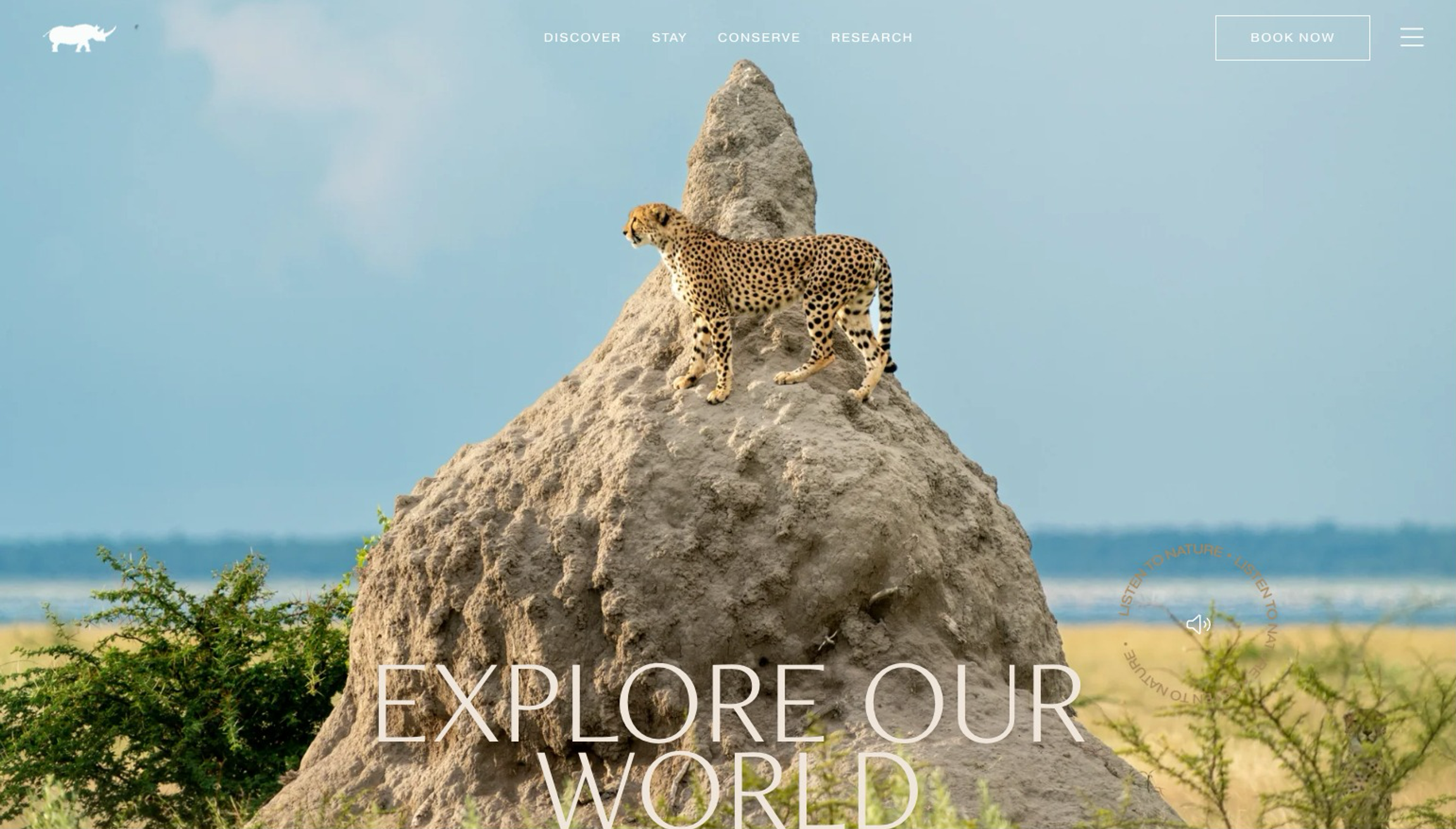 a cheetah standing on top of a termite mound with the words explore our world below it