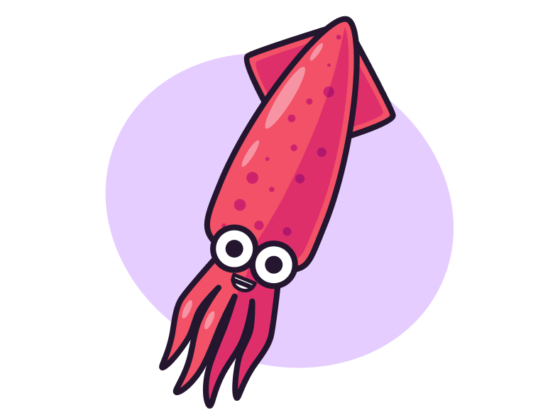 The Squizzy Squid