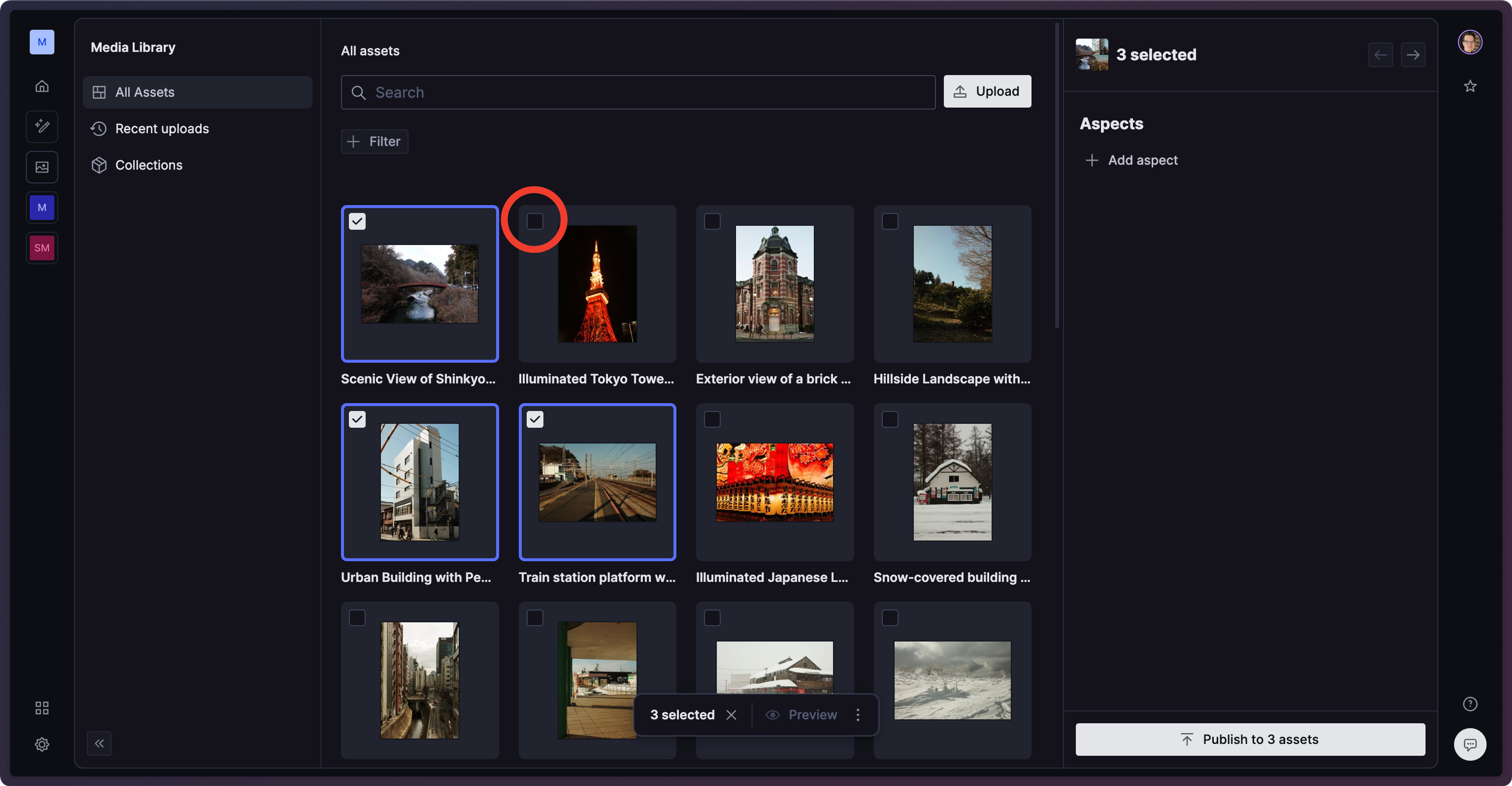 a screenshot of a media library showing a selection of images