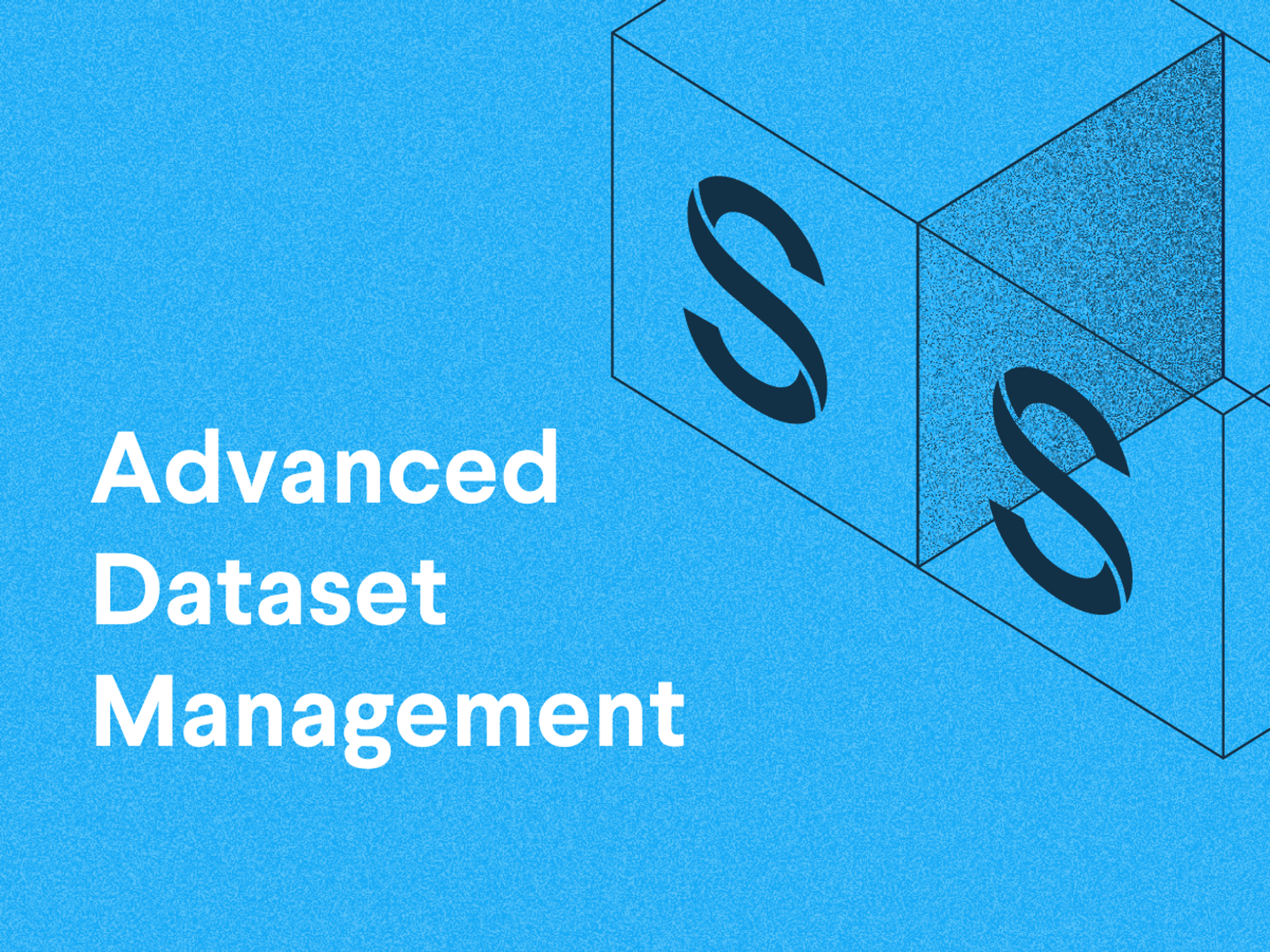 Advanced Dataset Management