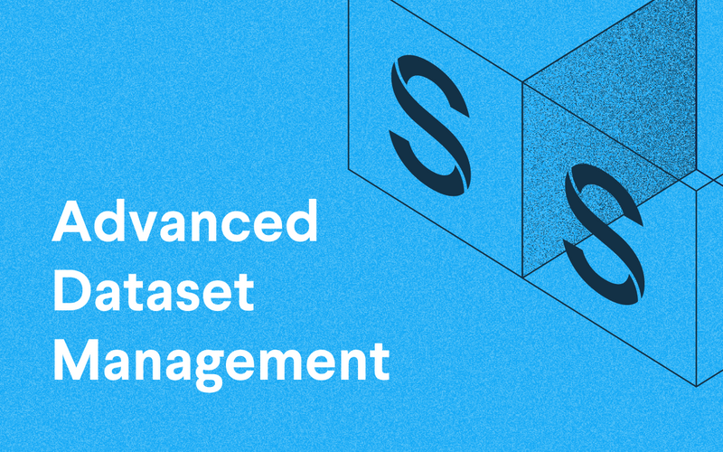 Advanced Dataset Management