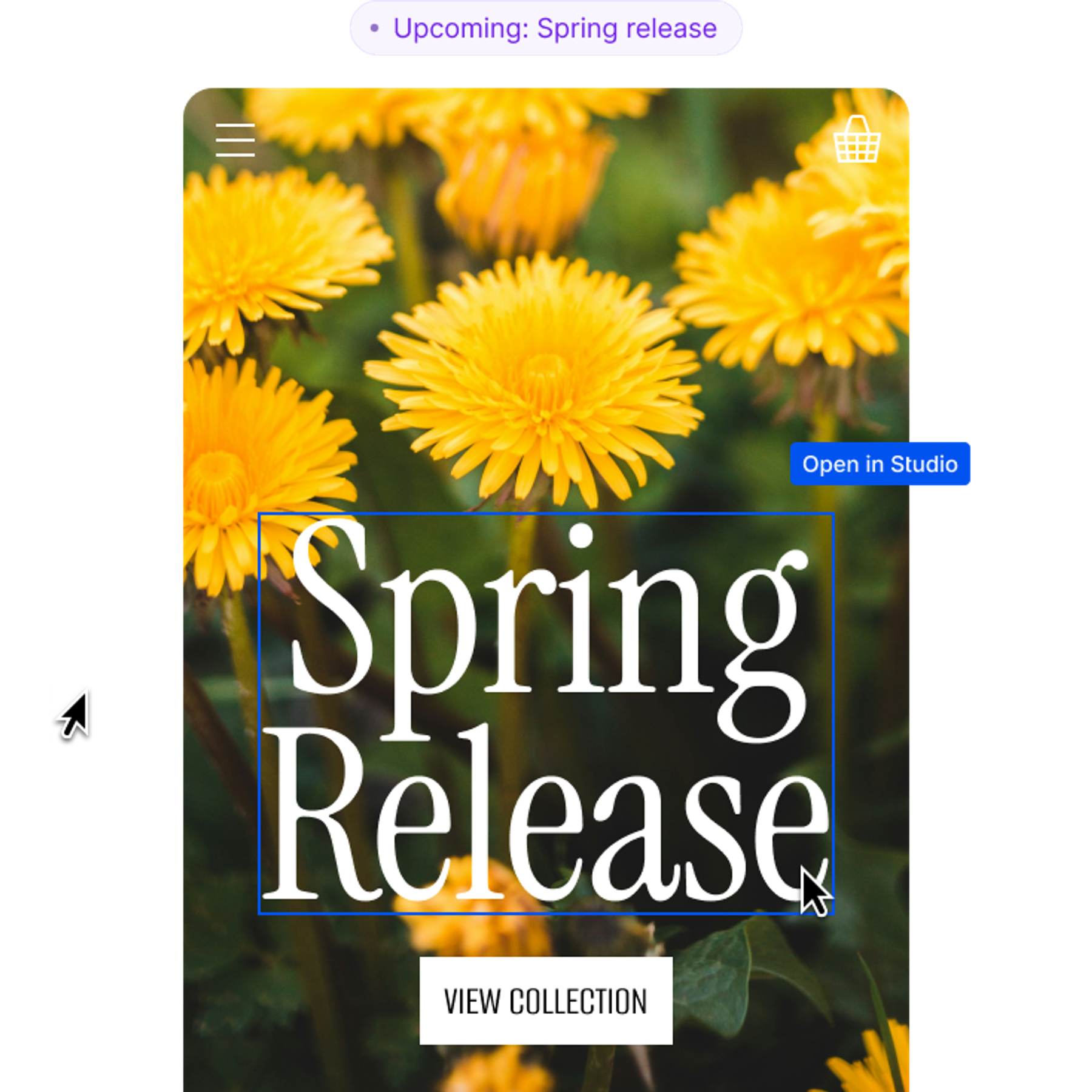 Mobile screen displaying "Spring Release" text highlighted for editing over a dandelion background, with design UI elements.