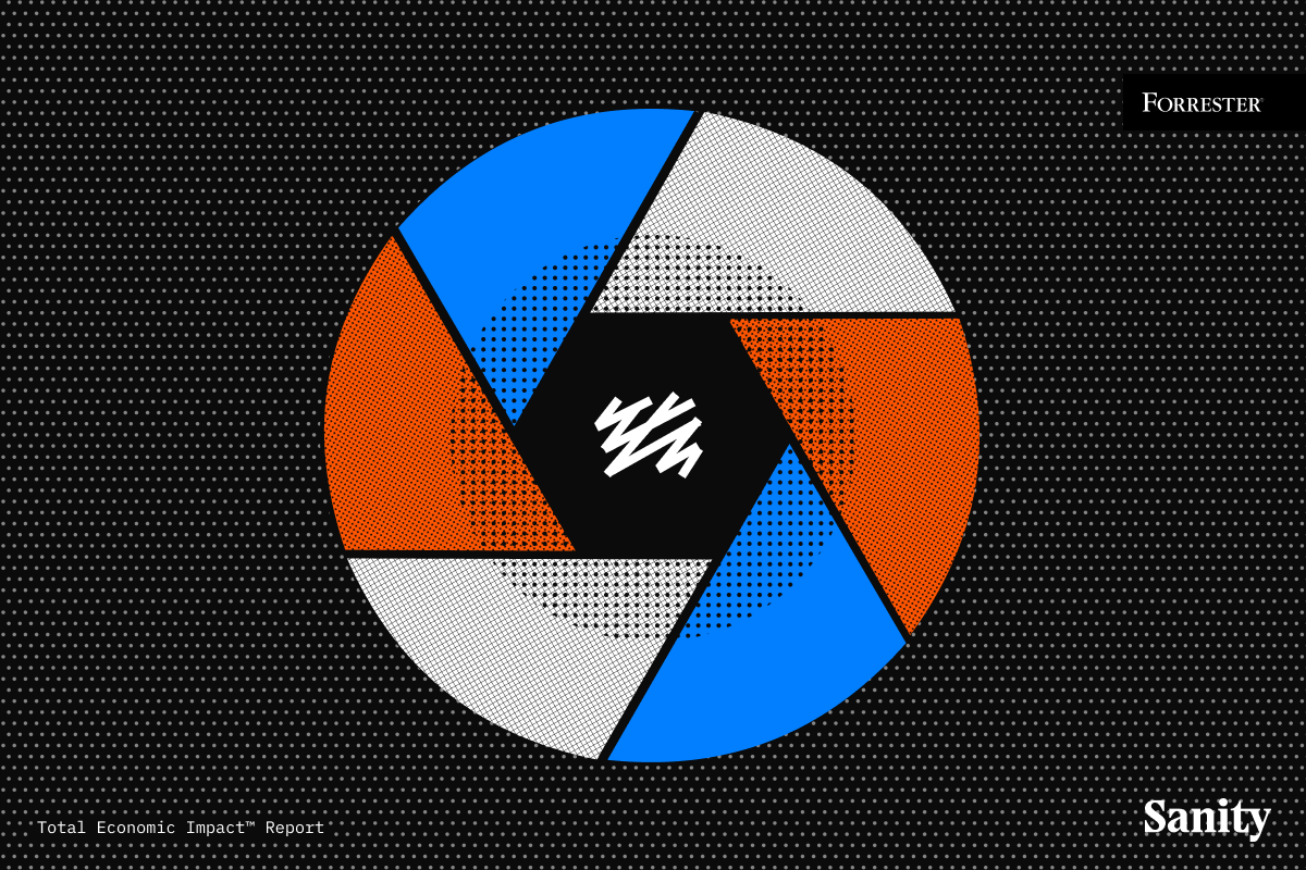 A graphic of a camera aperture with orange, blue, and gray blades, a white scribble in the center, and text: Forrester, 'Total Economic Impact' Report, and Sanity.