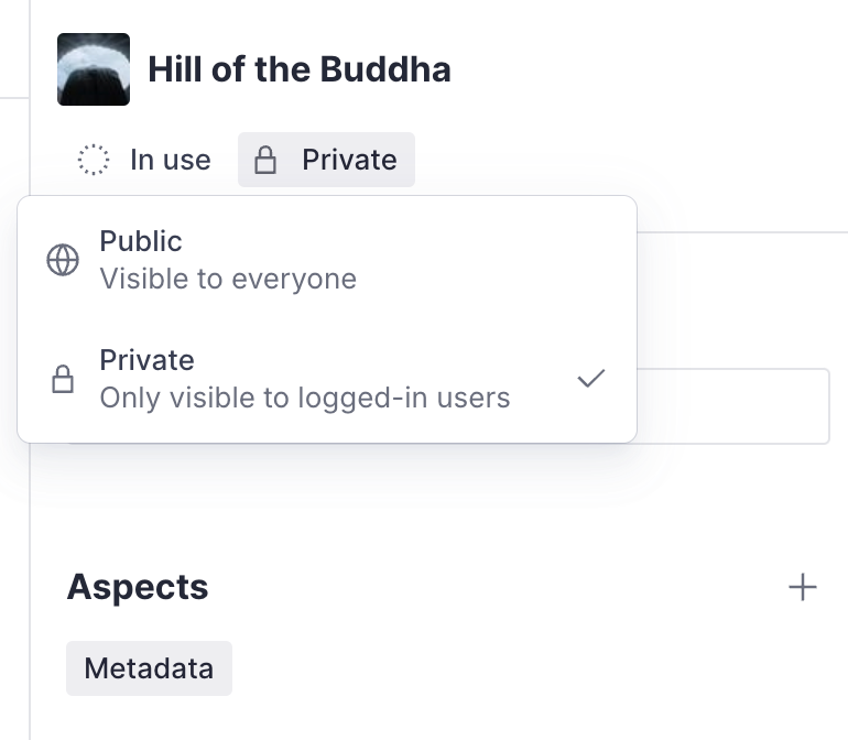 User interface with the visibility selector open and "Private" selected.