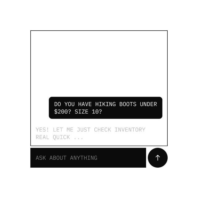 A chat interface where a user asks about hiking boots under $200, size 10, and a shopping assistant replies.